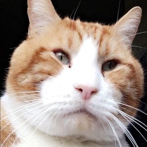 Meet your Posher, Ruth